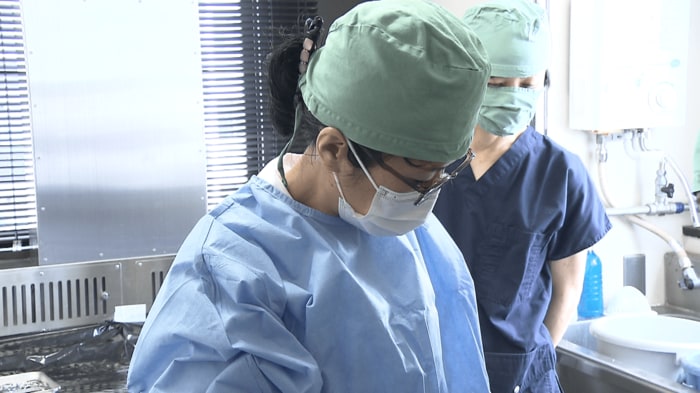 日本獣医生命科学大学・田中亜紀特任教授