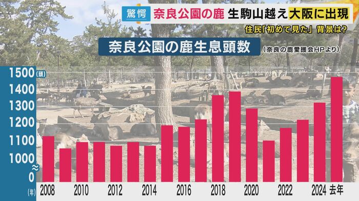 奈良公園の鹿の数