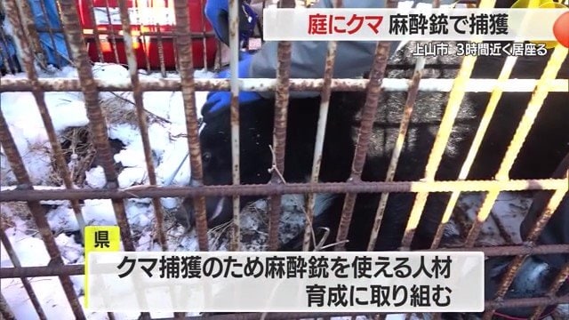 現在、麻酔銃を使えるのは1人の医師のみ。近年、クマ出没が増えているため人材育成が急がれる