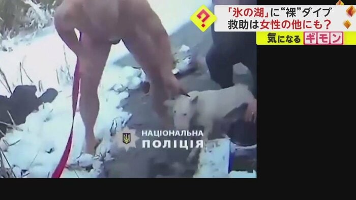 助け出された白い犬
