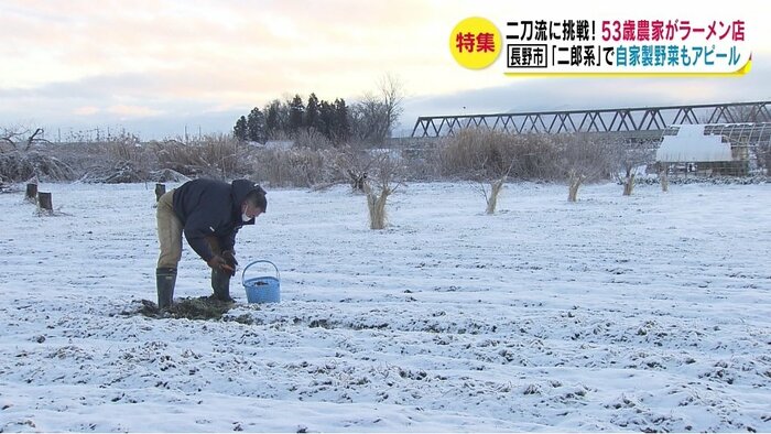 雪をかぶった畑で収穫する羽田さん