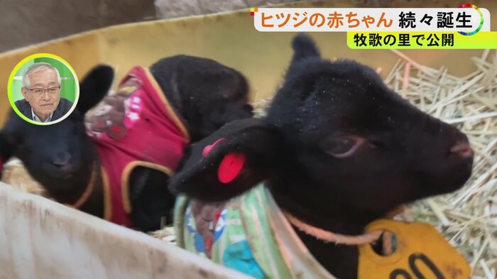ニュースONE