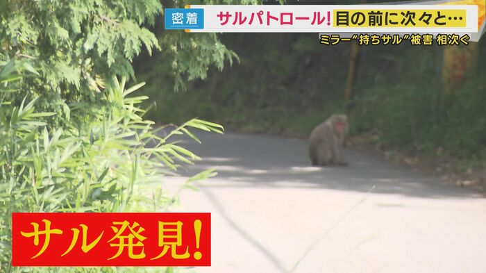 サル