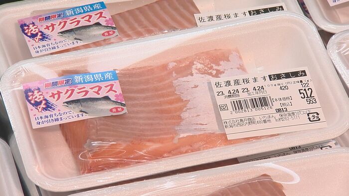 サクラマス
