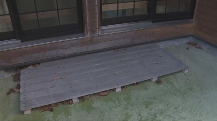 窓のすぐ外にクマが現れた