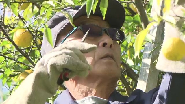 弟の清明さんが跡を継ぐ