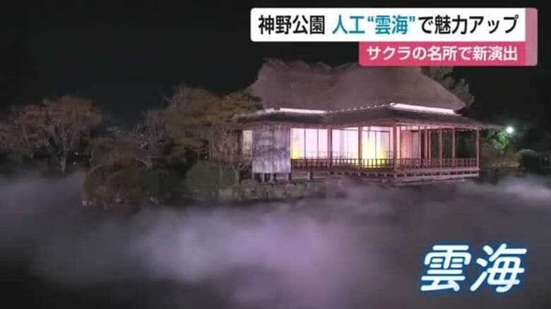 「夢の世界でした」桜の名所 神野公園に人工雲海が出現 県内初の幻想的な夜間演出スタート【佐賀県】｜FNNプライムオンライン