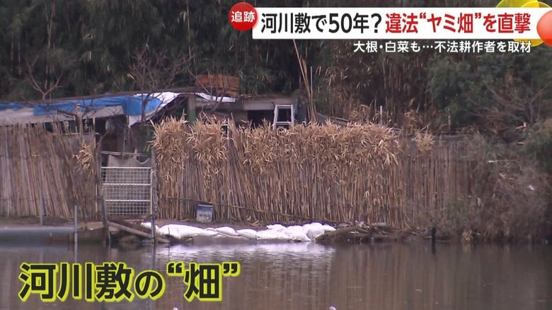 【ヤミ畑】大根に白菜…河川敷に“やりたい放題”の不法耕作「元気やからやめられへん」84歳男性の身勝手な言い分とは　大阪・淀川｜FNNプライムオンライン