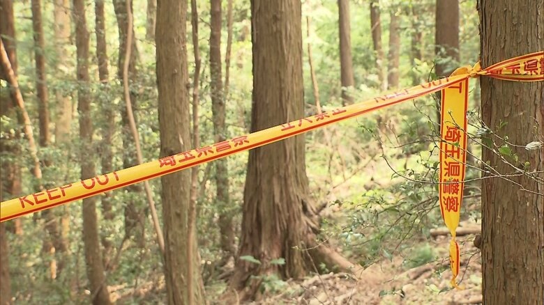 行方不明の91歳女性、山林で遺体発見　ベトナム国籍の男が殺害ほのめかす　埼玉｜FNNプライムオンライン