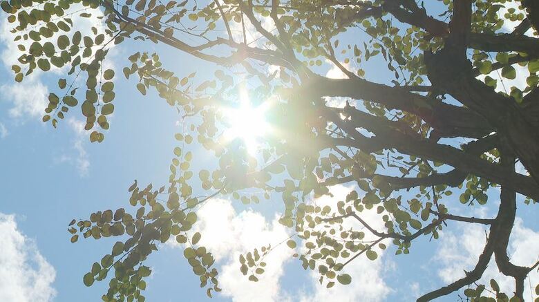 厳しい残暑　上田37.1℃、長野35.9℃、松本35.5℃など県内7カ所で「猛暑日」　あすも適切なエアコンの使用、水分補給など熱中症対策を｜FNNプライムオンライン