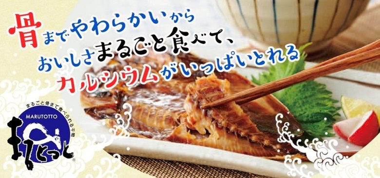 キシモト 「まるとっと」