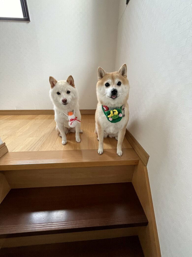 新年仕様