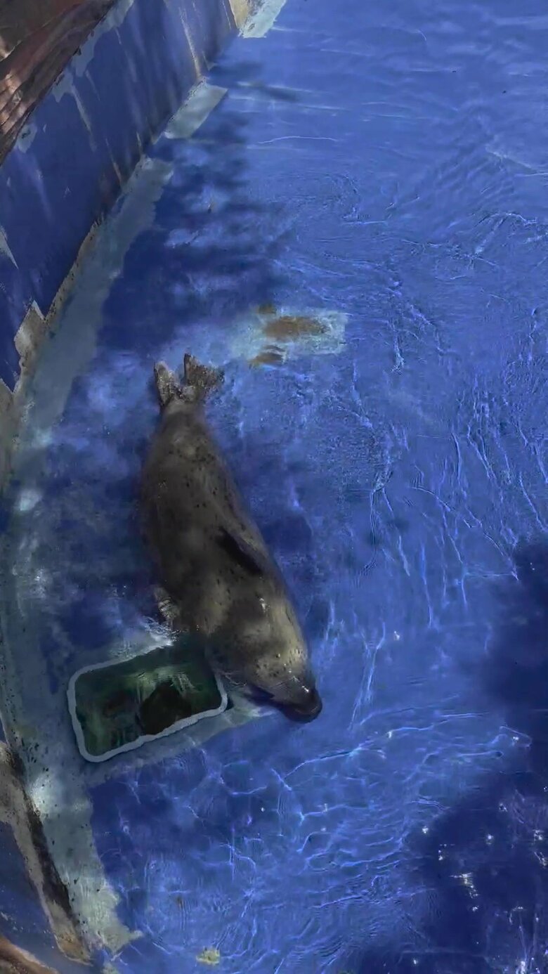 （提供：名古屋市東山動植物園）