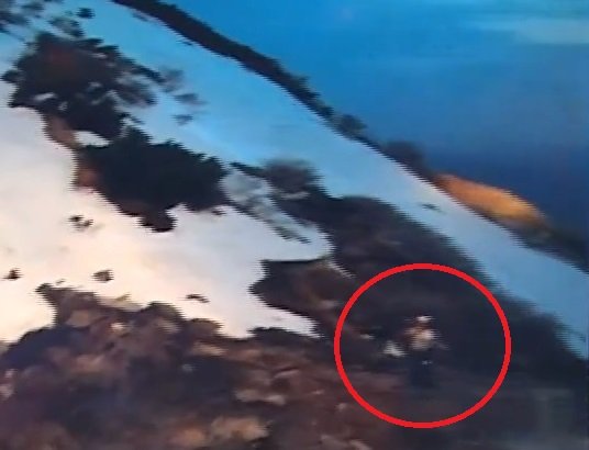 雪の残る山肌にいる遭難者（提供：北海道警察）