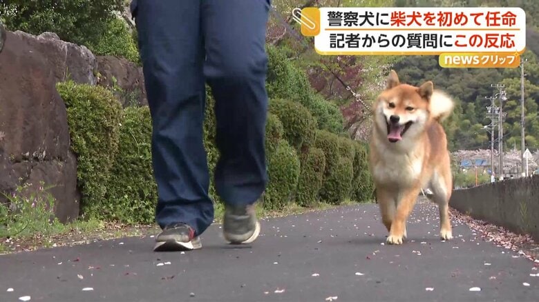 指導手に寄り添って歩くつぶ