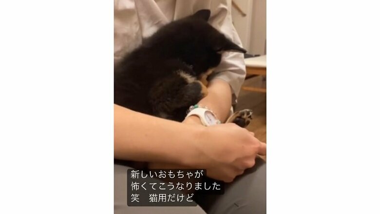 新しいおもちゃをもらった風太くん　中村さんの腕の中にすっぽり