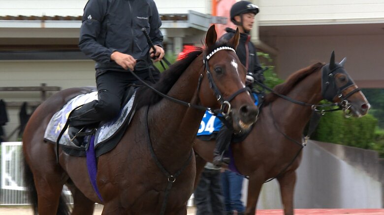 最終追い切りに臨むドウデュース