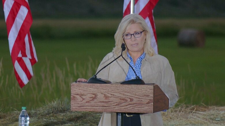 敗北宣言をするリズ・チェイニー氏