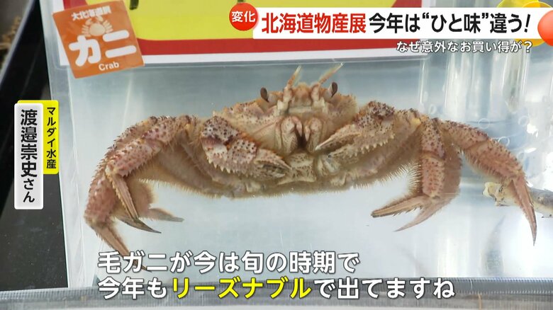 記録的な暖冬の影響で豊漁になっているという毛ガニ
