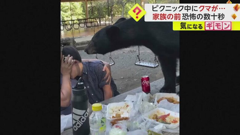 ピクニック中の男の子に近づくクマの姿