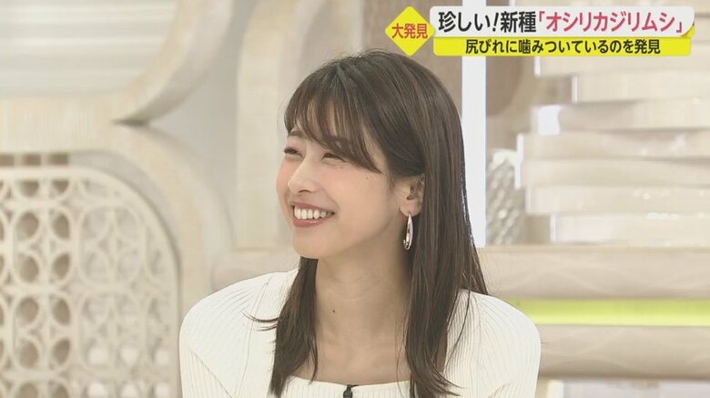 【解説】新種の甲殻類「オシリカジリムシ」命名した理由は?大発見で「オシリカジリムシ科オシリカジリムシ属」に|FNNプライムオンライン