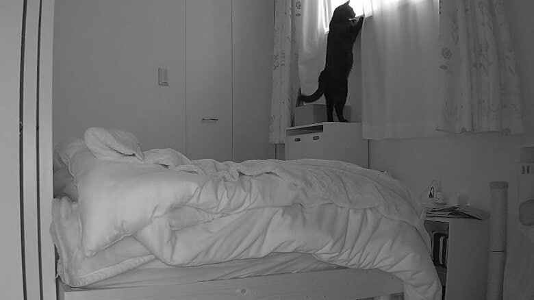 カメラは普段、見守りのために使っている