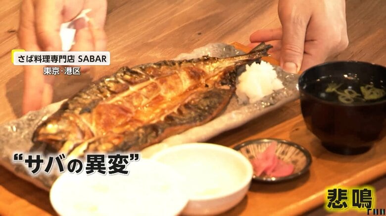 客がサバ料理の数々に舌鼓を打っていた東京・港区の「サバ料理専門店　SABAR」