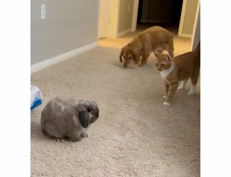 入室管理中（提供：和泉ユタカさん）