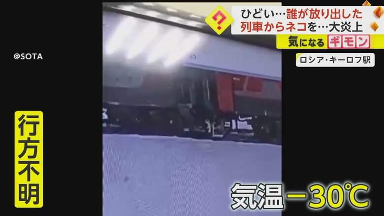 ロシア・キーロフ駅でネコのツイックスを車掌が列車の外に放り出す瞬間③