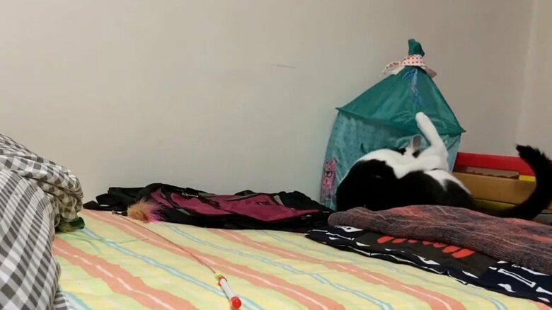 最後にちょっとバランスを崩すのも可愛い