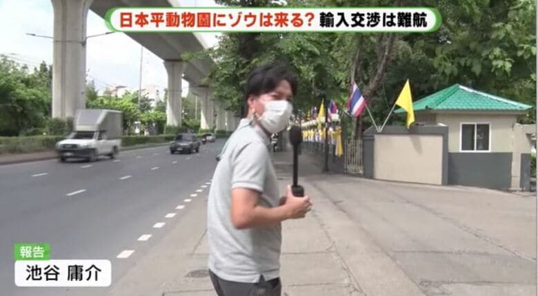 タイのゾウ事情を取材する池谷記者