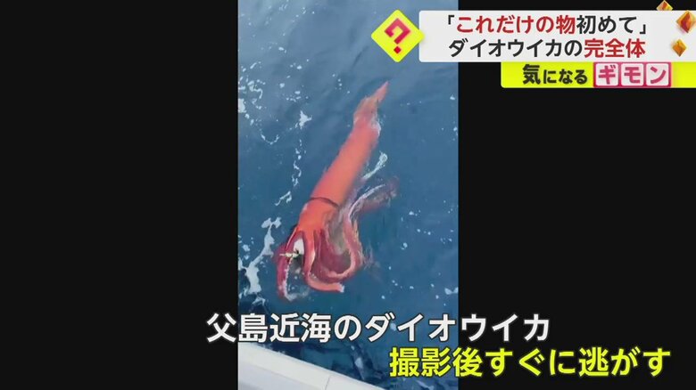 （漁師 小杉優さん撮影）