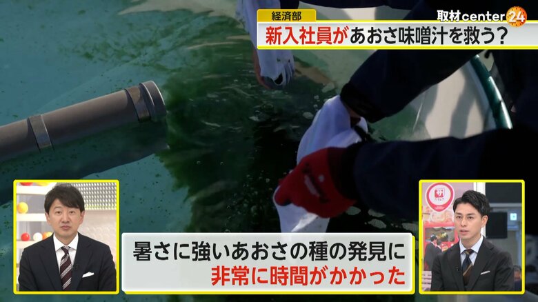 陸上養殖で育てるあおさを管理するスタッフ