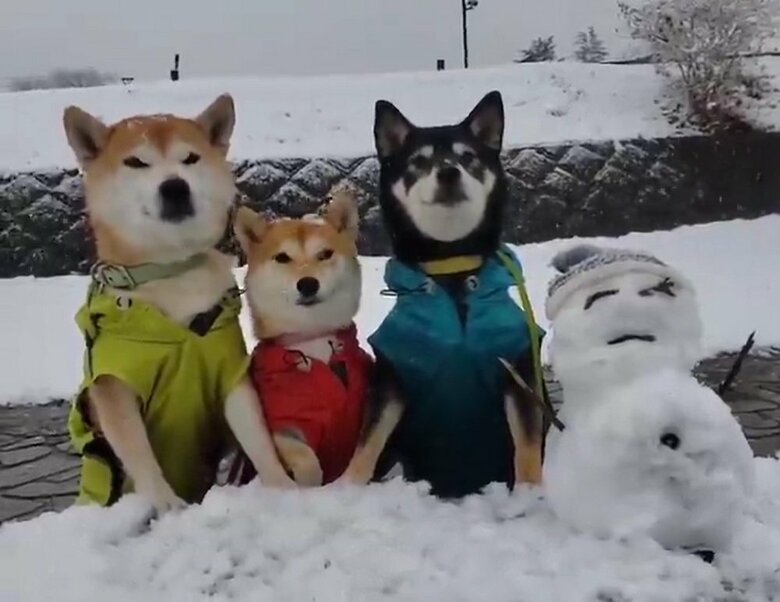 雪の日もカッパ