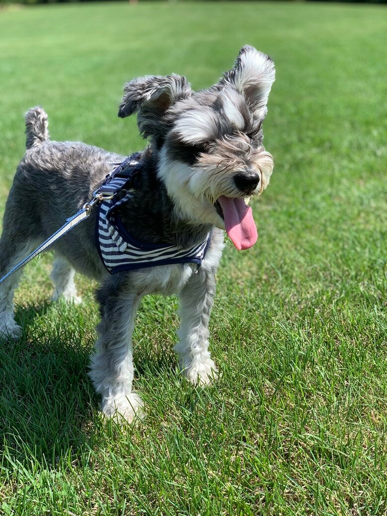 提供：くぅさん