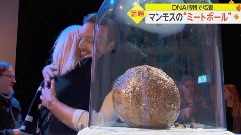 ワニの肉のような香りがするという