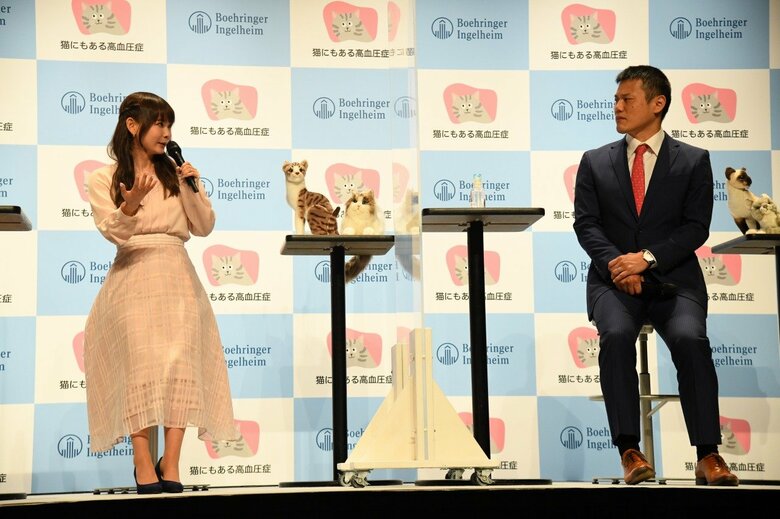 主催者名：ベーリンガーインゲルハイムアニマルヘルスジャパン　イベント名：5月17日は『高血圧の日』、猫にも高血圧症がある！