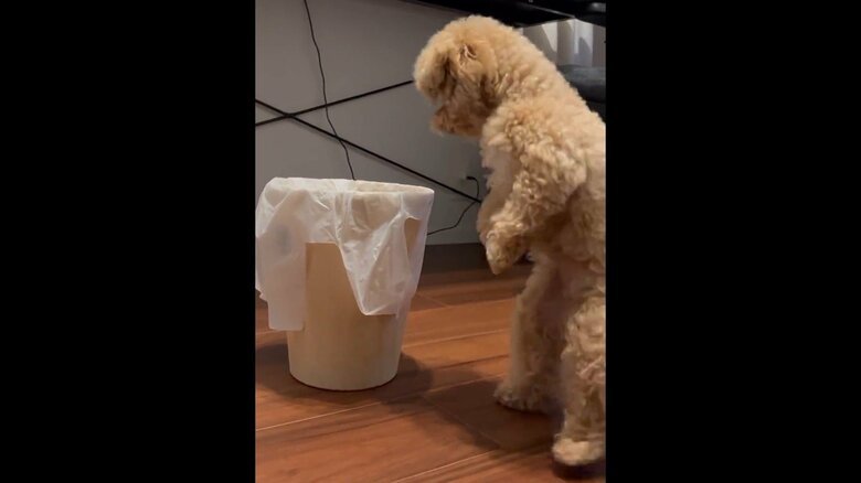 やはり気になる様子