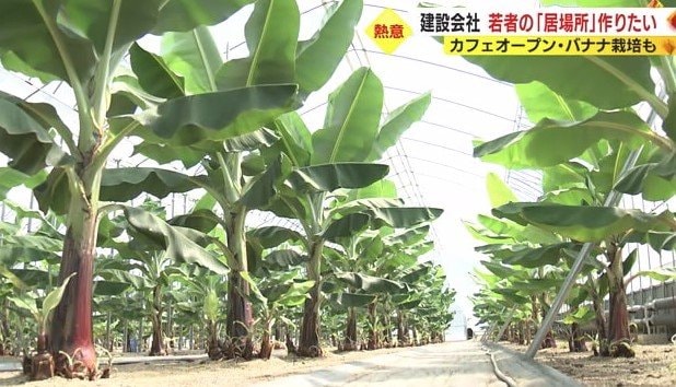 榊原社長が始めたバナナ園