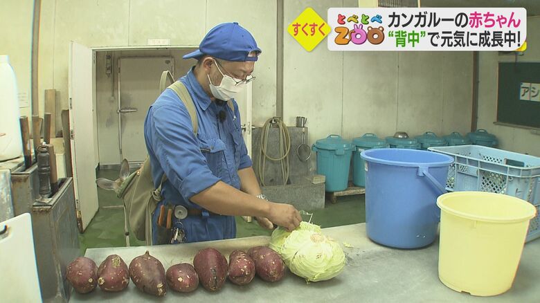 ジャンプ君を背負いながら餌作りの作業をする山﨑キーパー