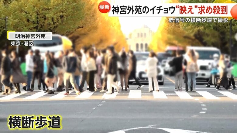 迷惑行為が相次いでいた紅葉シーズンまっただ中のイチョウ並木（19日、東京・港区の明治神宮外苑）