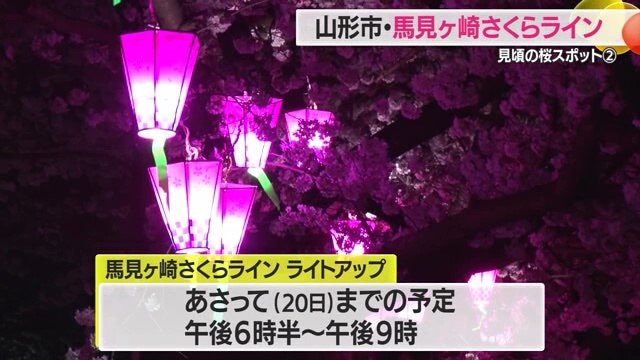 ライトアップは午後6時半～午後9時まで。4月20日までの予定
