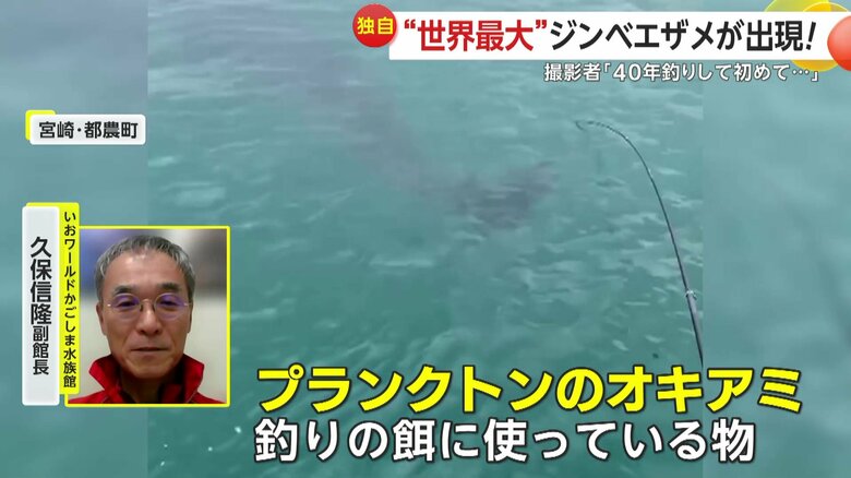 「プランクトンのオキアミ、釣りの餌に使っている物」と話す、いおワールドかごしま水族館の久保信隆副館長