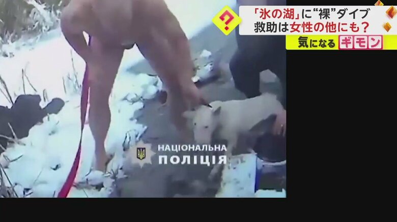 助け出された白い犬