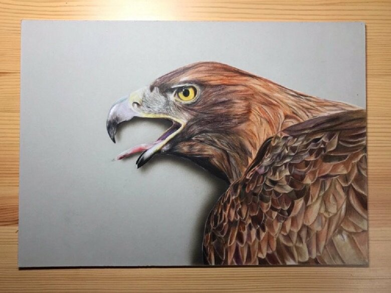 高校時代に描いたという「鷹」