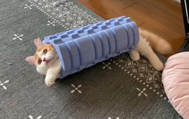 毎日筋膜ローラーに入っているそう。