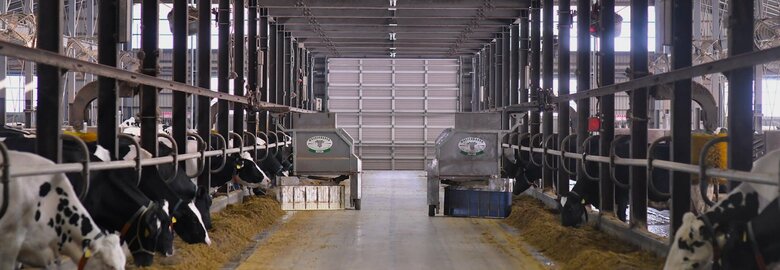 Kalm角山の牛舎（提供：Kalm角山）