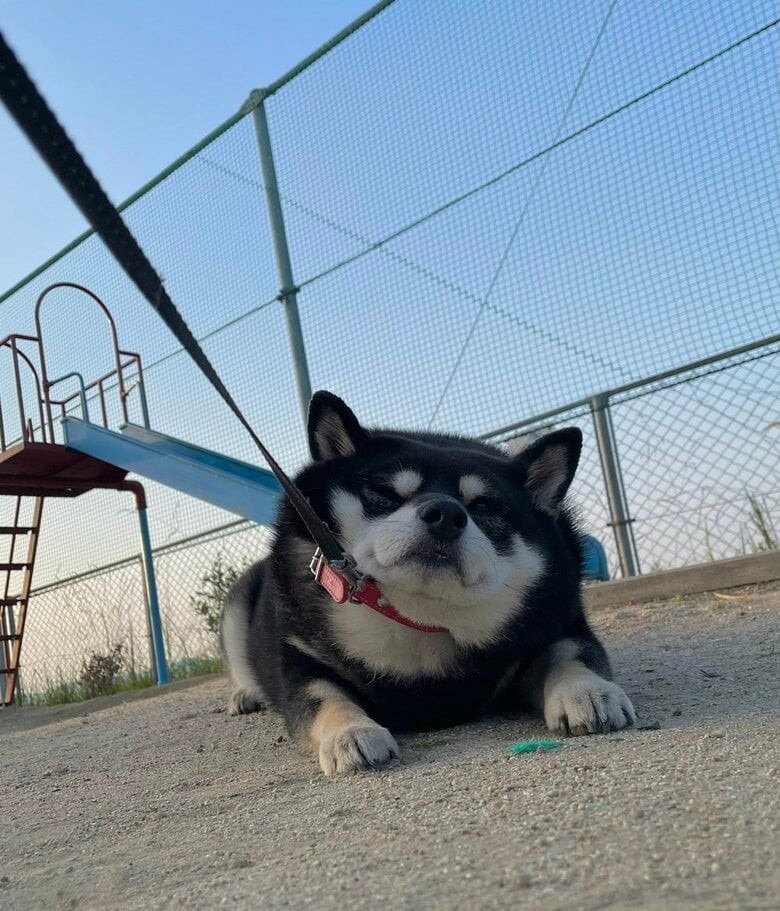 まだ遊びたいからイヤイヤ