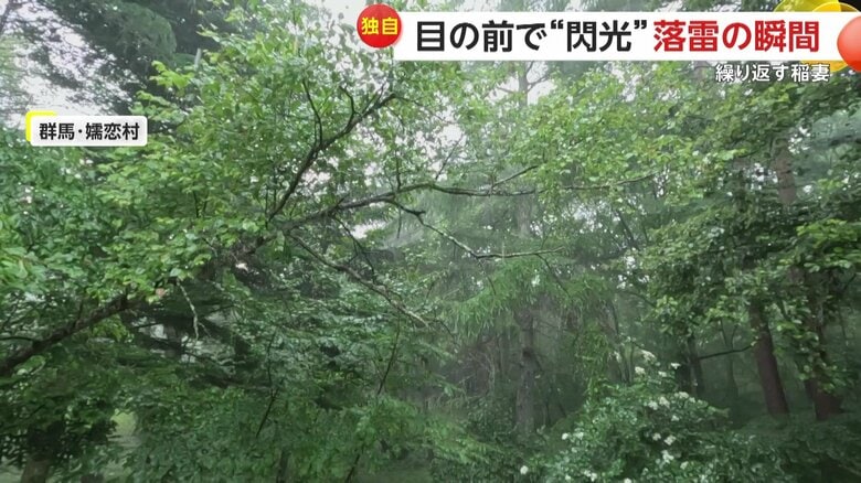 庭にあった木に直撃した雷（7月22日午後1時頃、群馬・嬬恋村の住宅）