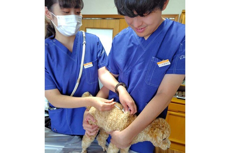 狂犬病の予防接種